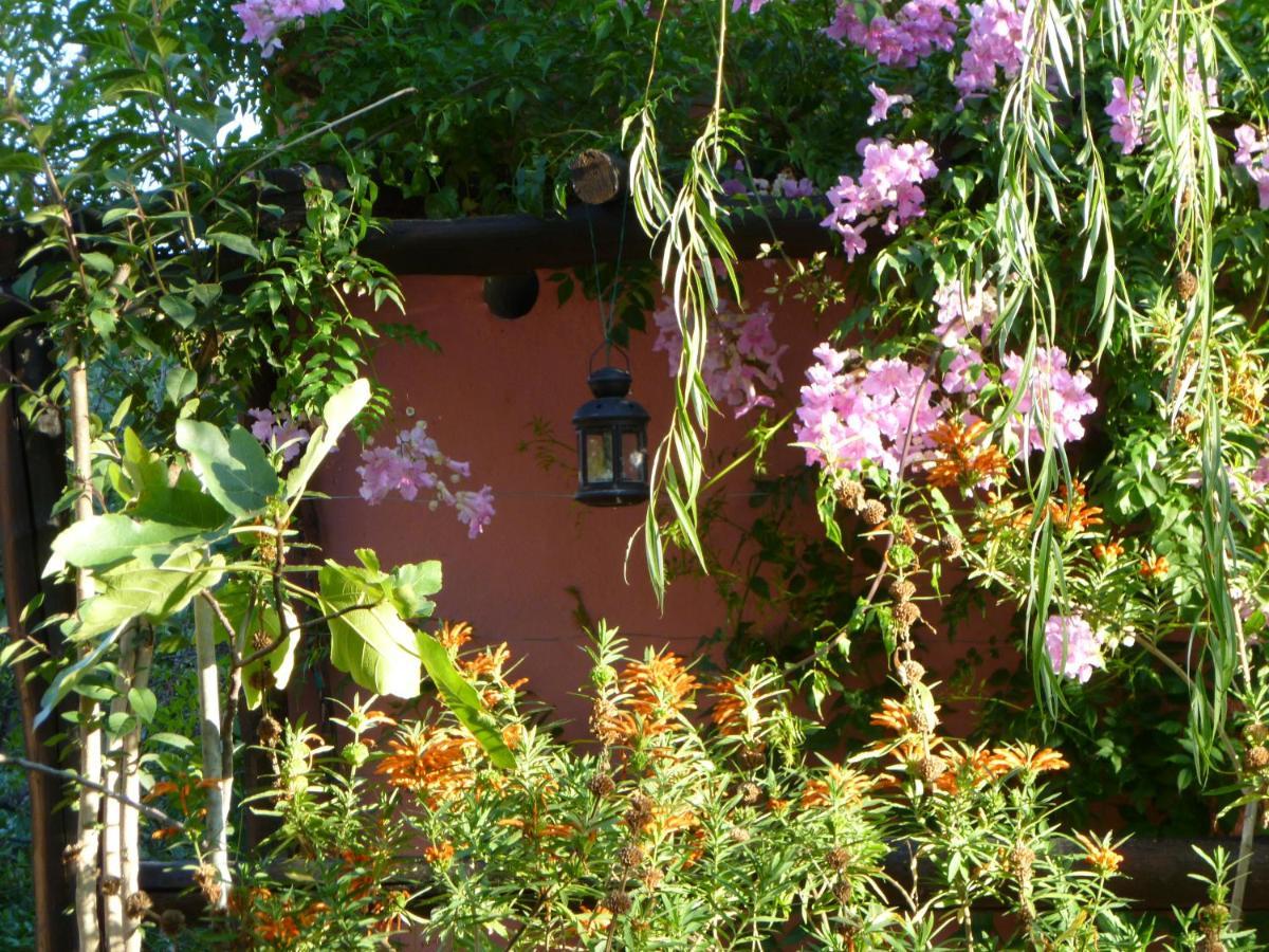 Eco Moyano Posada Gaucin Exterior photo