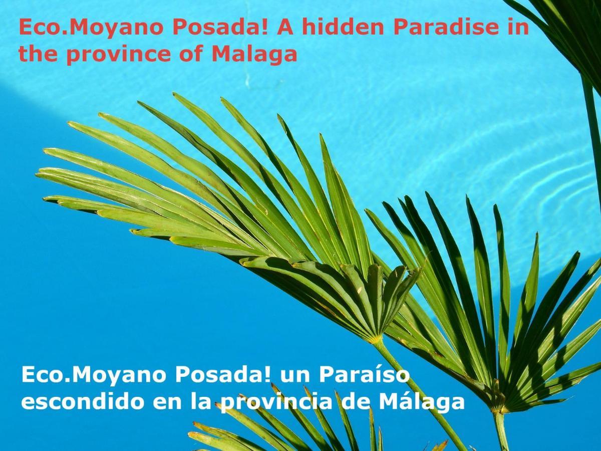 Eco Moyano Posada Gaucin Exterior photo