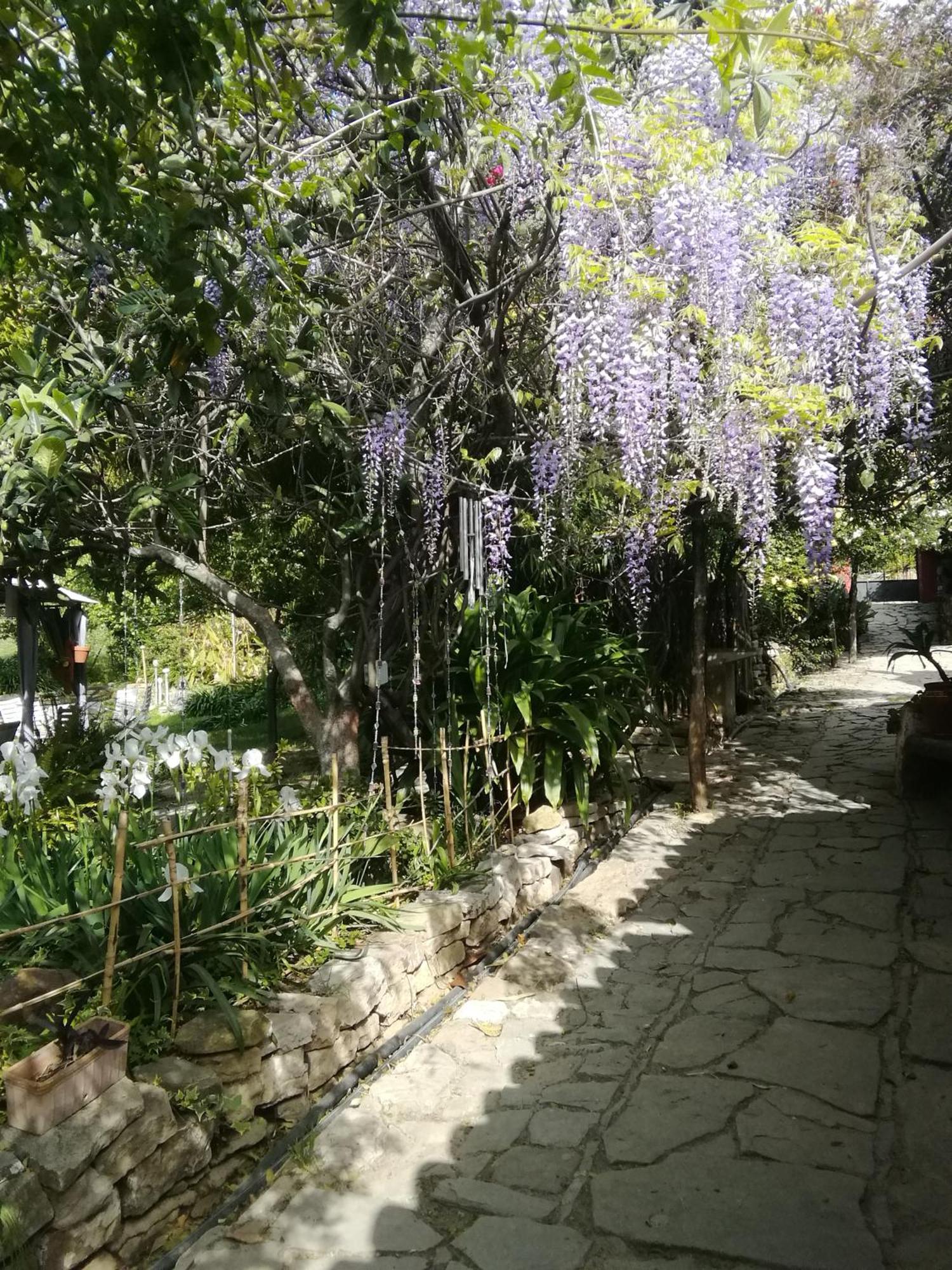 Eco Moyano Posada Gaucin Exterior photo