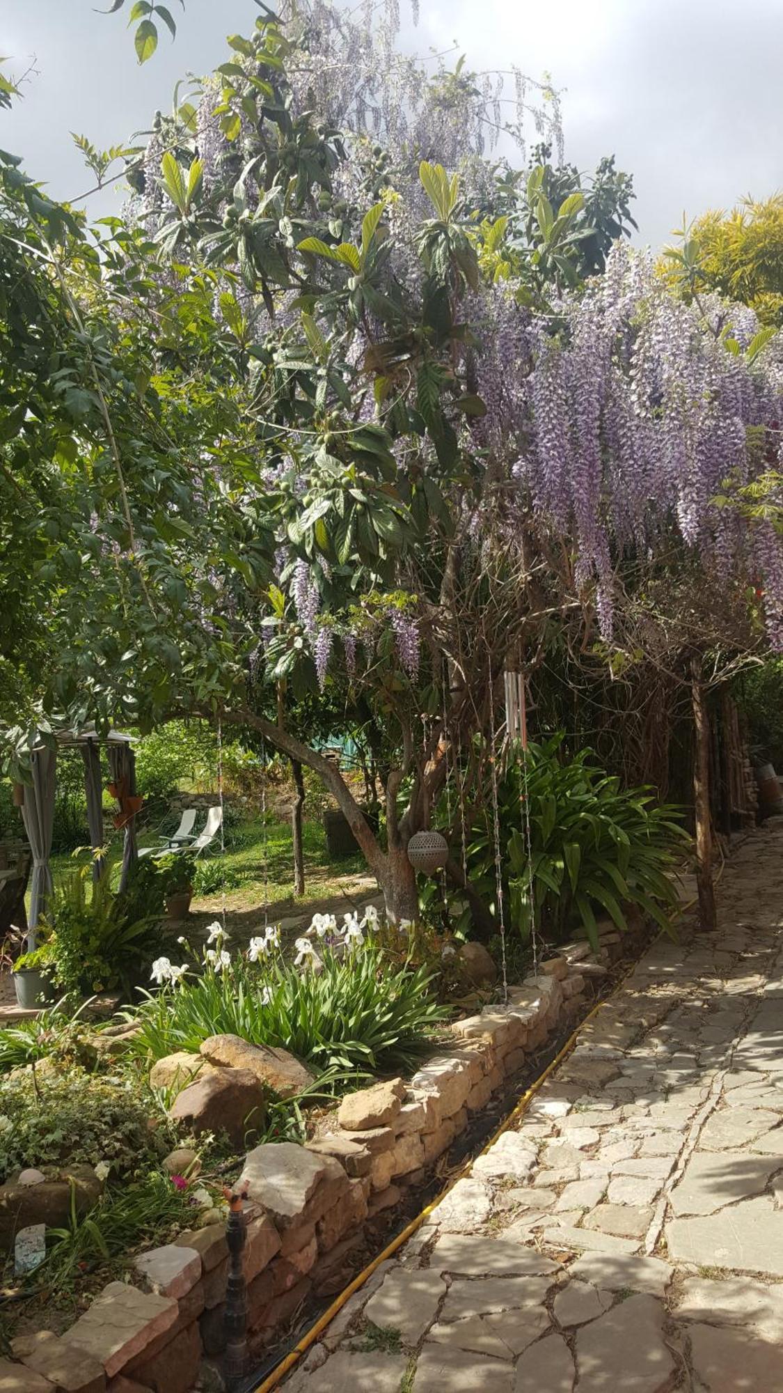 Eco Moyano Posada Gaucin Exterior photo